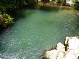 Bosque Estatal de Toro Negro - OROCOVIS, JAYUYA, JUANA DÍAZ